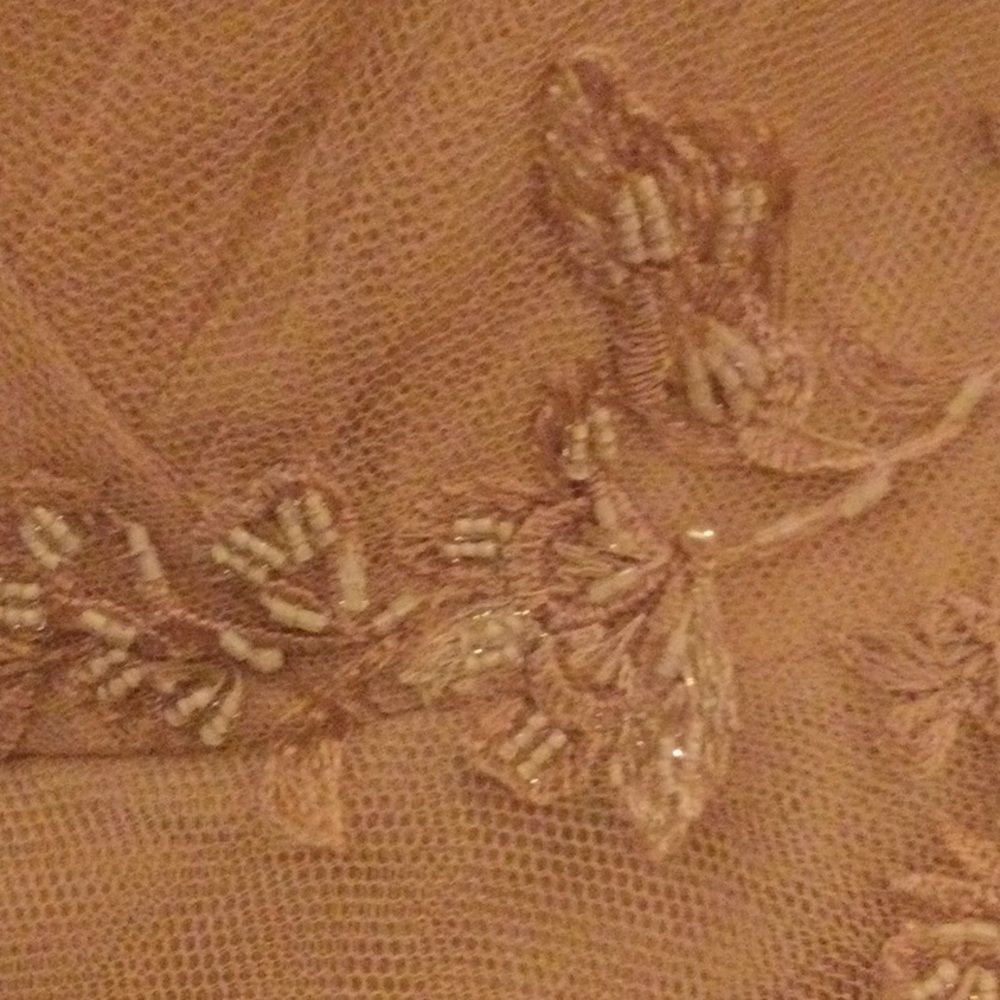 Jenny Yoo Emelie Appliqué - Picture 13 of 13